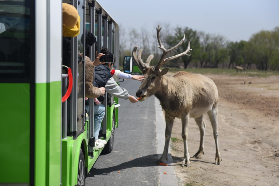 1745894222312654.png 1745894222312654.png